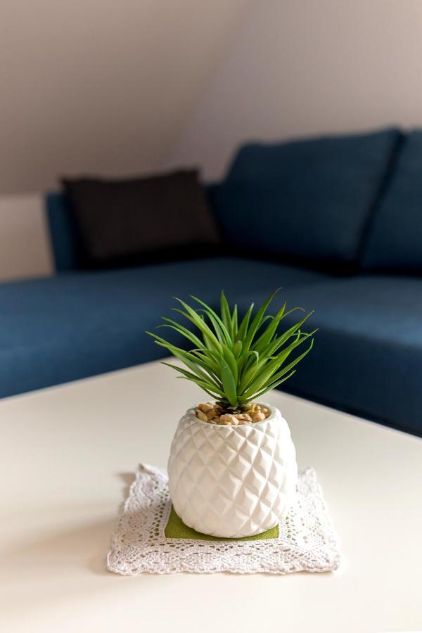 Apartmaji Rupnik Bohinjska Bistrica Екстериор снимка