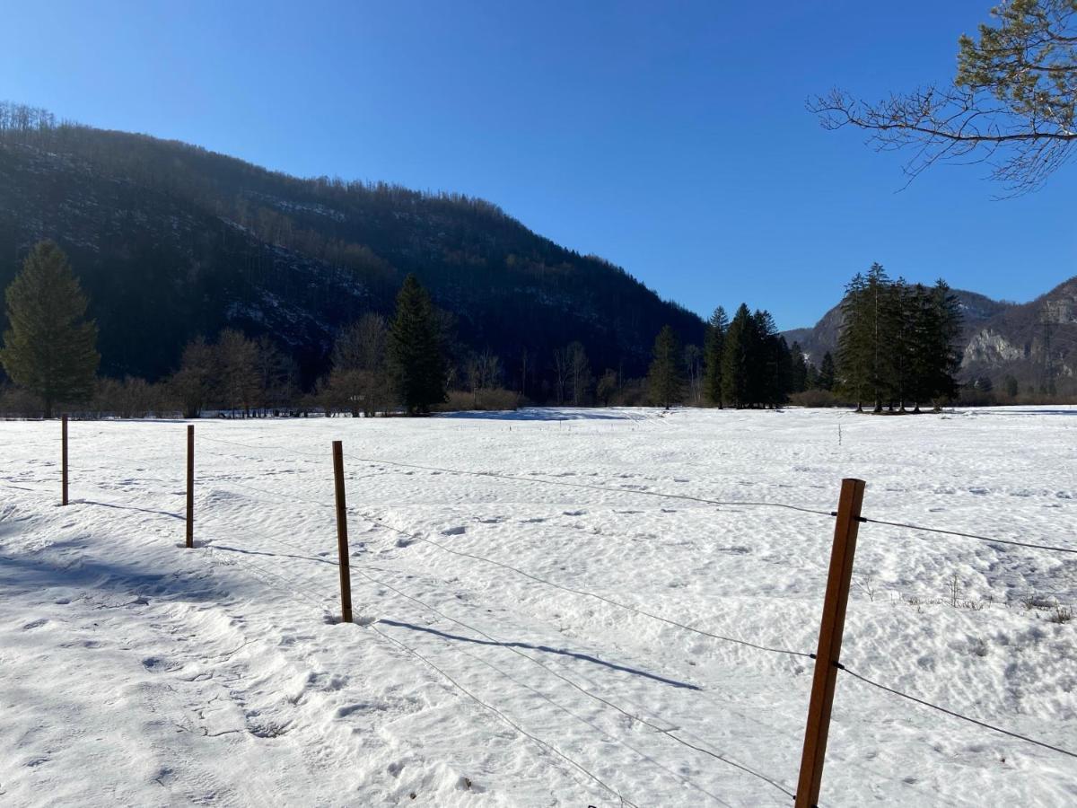Apartmaji Rupnik Bohinjska Bistrica Екстериор снимка